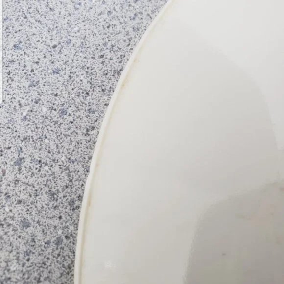 Corelle Corning Dinner Plate 10 1/4” Bird House - Picture 5 of 8